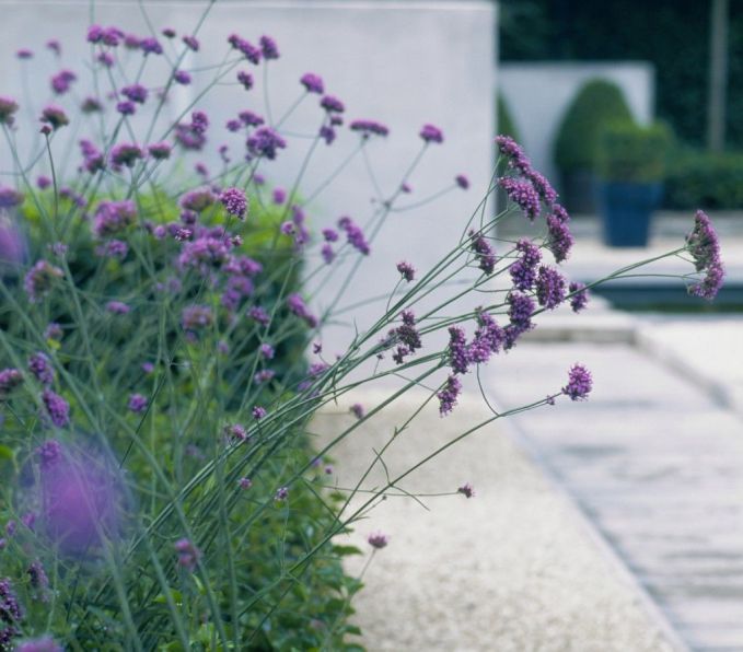 10 lời khuyên cho một thiết kế sân vườn theo phong cách hiện đại