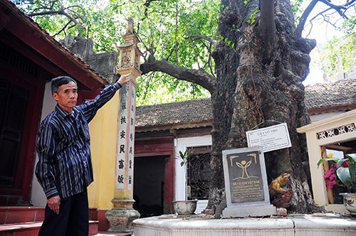 Ông Nguyễn Văn Phượng – Thủ từ đền Chờ cho biết, cây được công nhận cây di sản năm 2012, đến nay cây đã 578 tuổi.