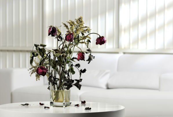 Một lọ hoa héo sẽ ảnh hưởng đến tâm trạng chung của mọi người và đến bầu không khi chung của  căn phòng 