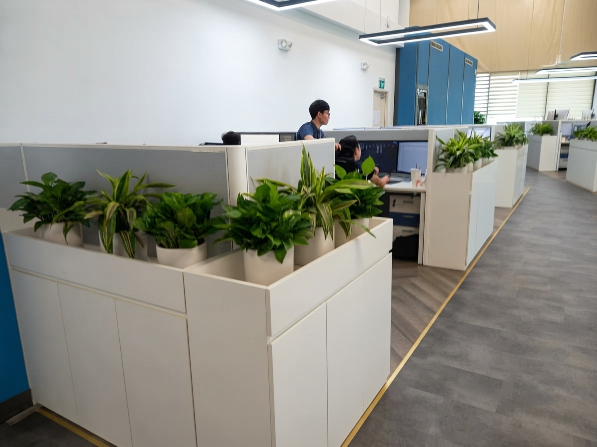 Cây xanh Hà Nội Vinatrees trang trí Cây cảnh đặt bàn làm việc