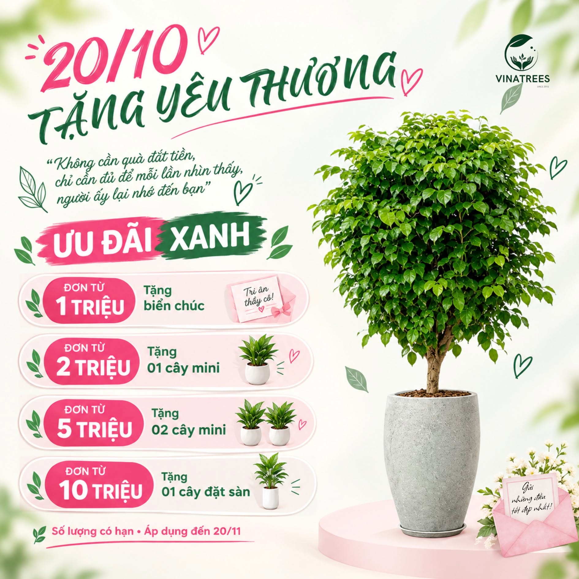 Cây Hạnh Phúc _Cây xanh Hà Nội Vinatrees