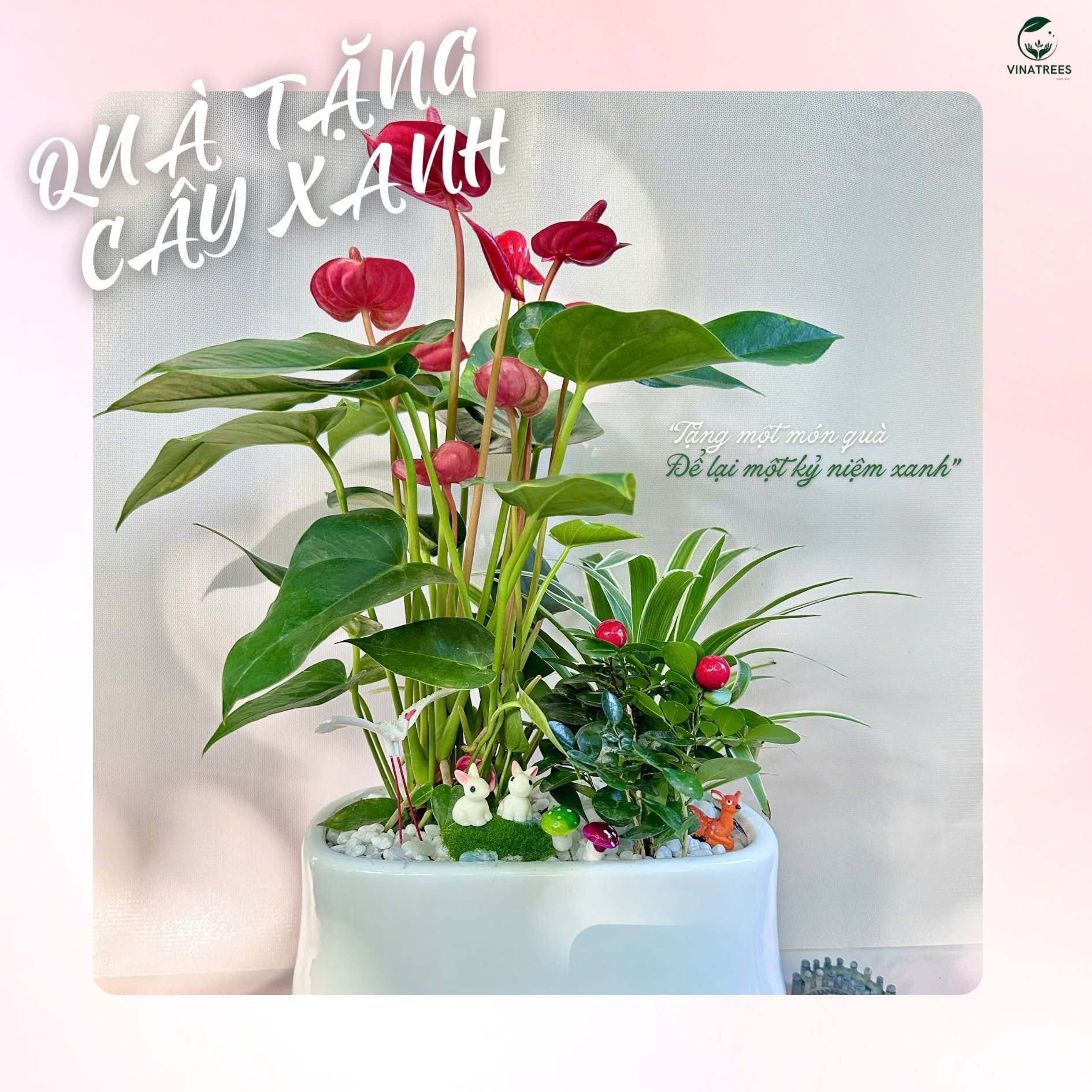 Cây Hồng Môn