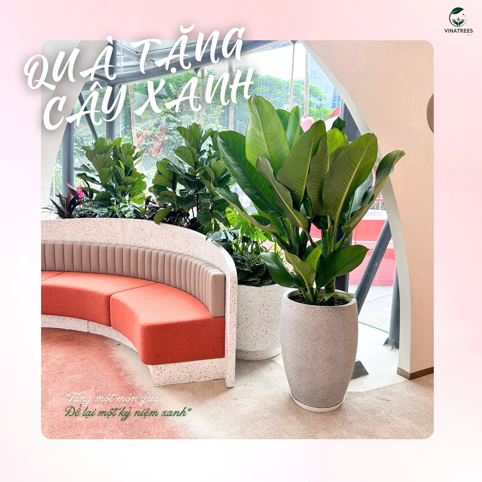 Cây Xanh Hà Nội Vinatrees cung cấp dịch vụ thiết kế cây xanh văn phòng
