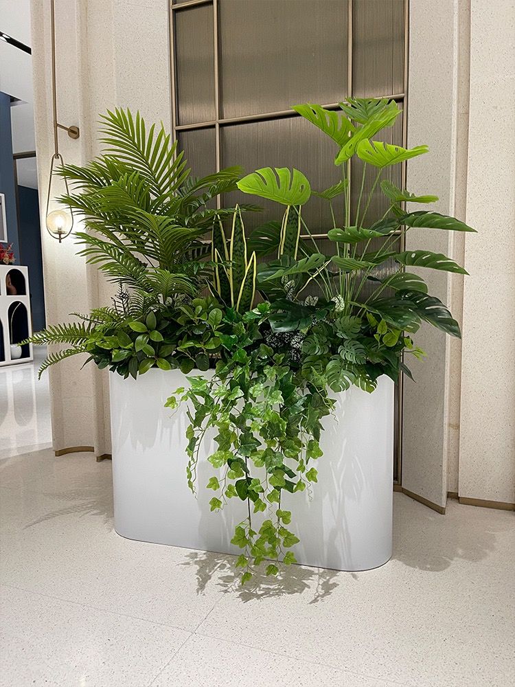 Dịch vụ cho thuê cây cảnh văn phòng _Vinatrees