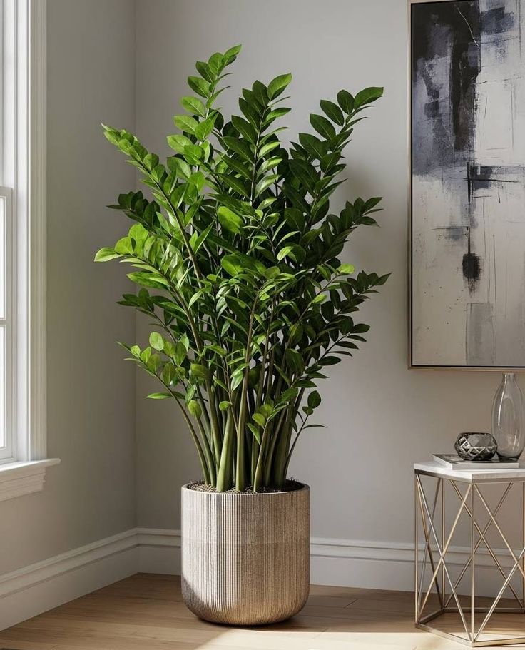 Thuê cây cảnh Hà Nội _Vinatrees