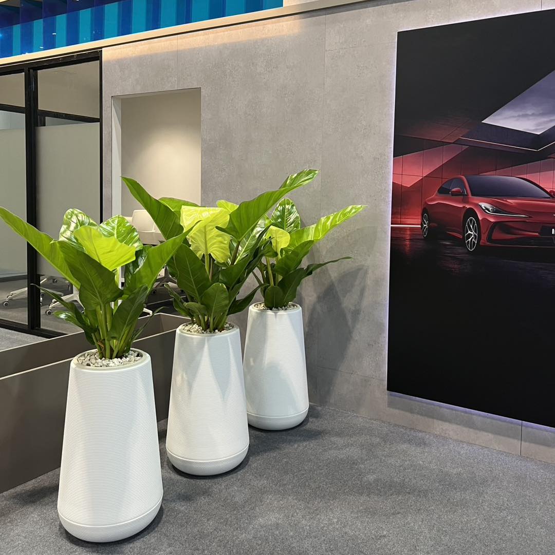 Vinatrees_ Dịch vụ cho thuê cây xanh