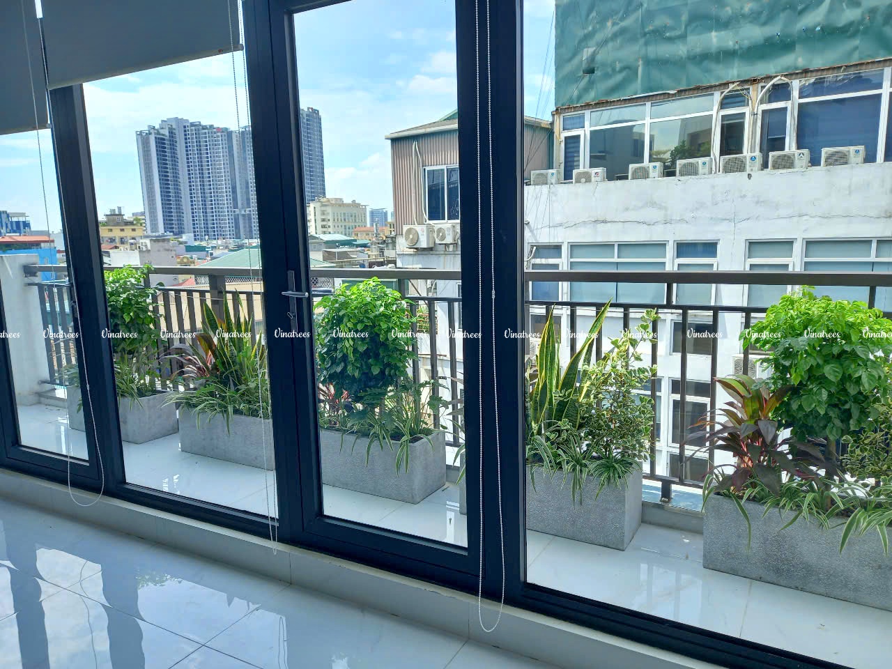 Dự án cho thuê cây cảnh văn phòng tại Quận Long Biên Hà Nội