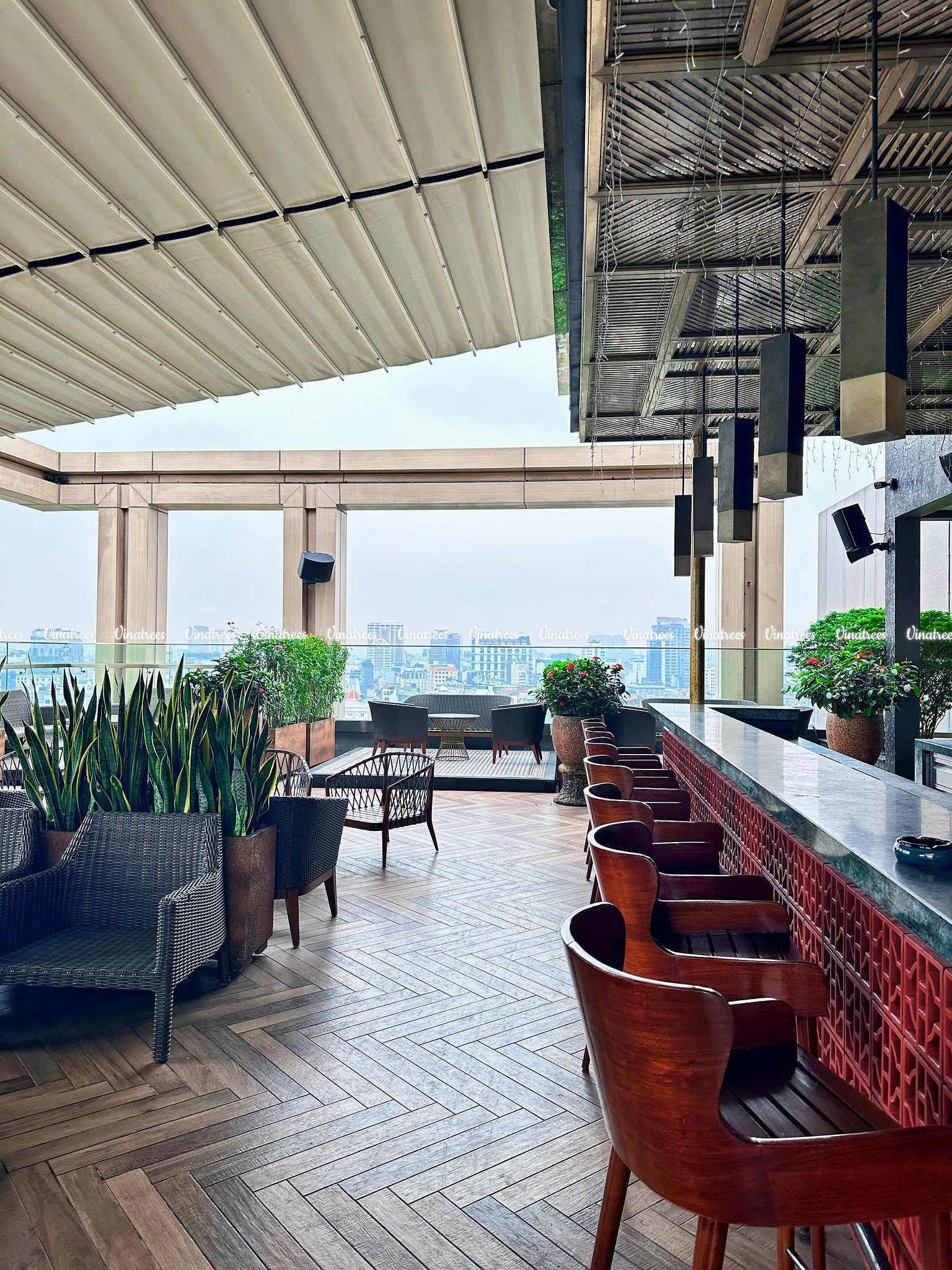 dịch vụ chăm sóc cây xanh văn phòng _Vinatrees