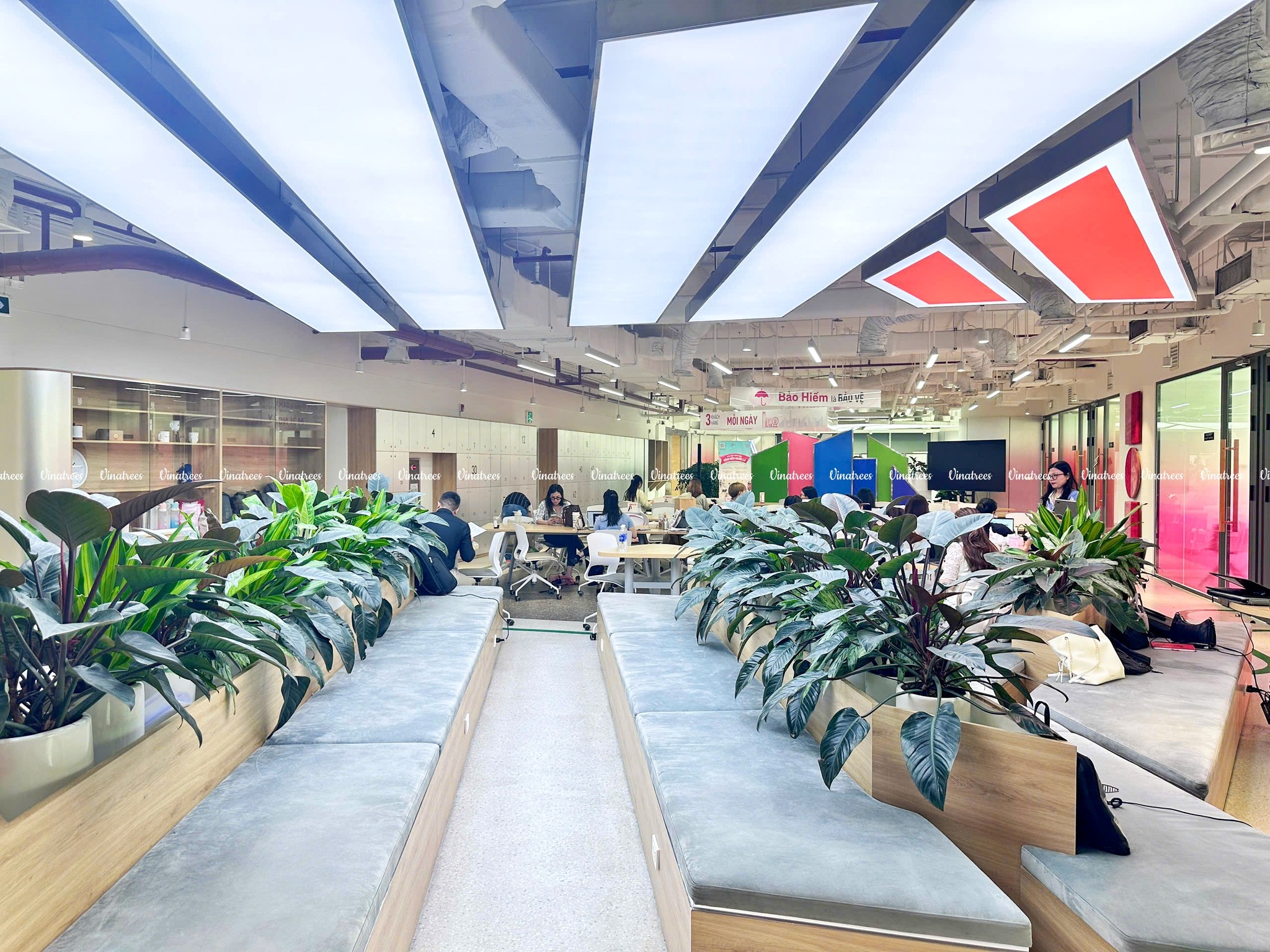 Vinatree thiết kế thi công cảnh quan