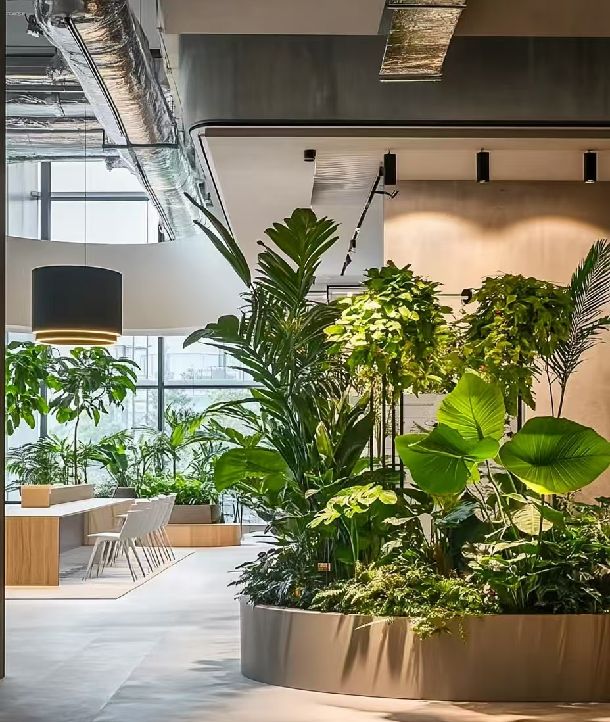 Vinatrees thi công dịch vụ cho thuê cây cảnh
