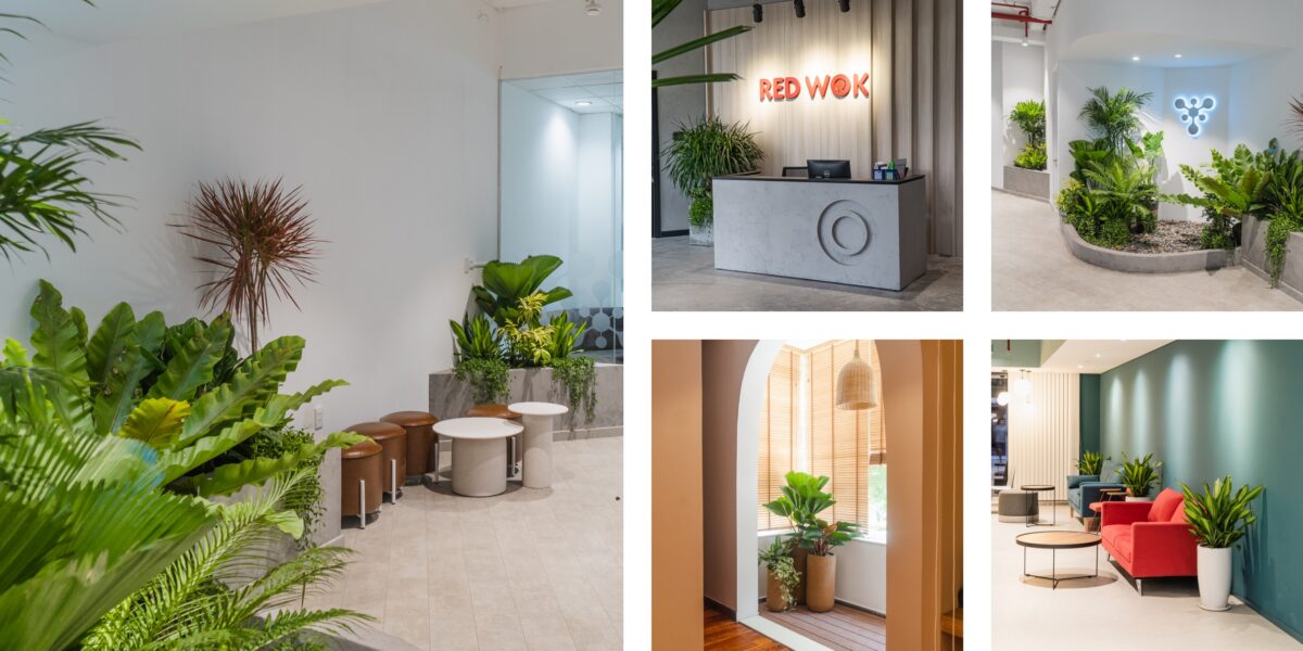 Lợi ích khi sử dụng cây cảnh văn phòng