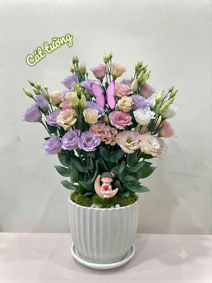 Chậu cây cảnh để bàn làm việc