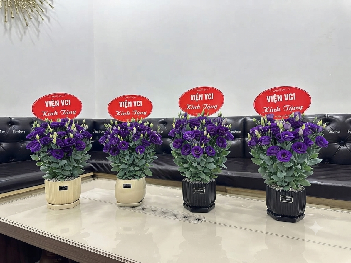 hoa cát tường tím