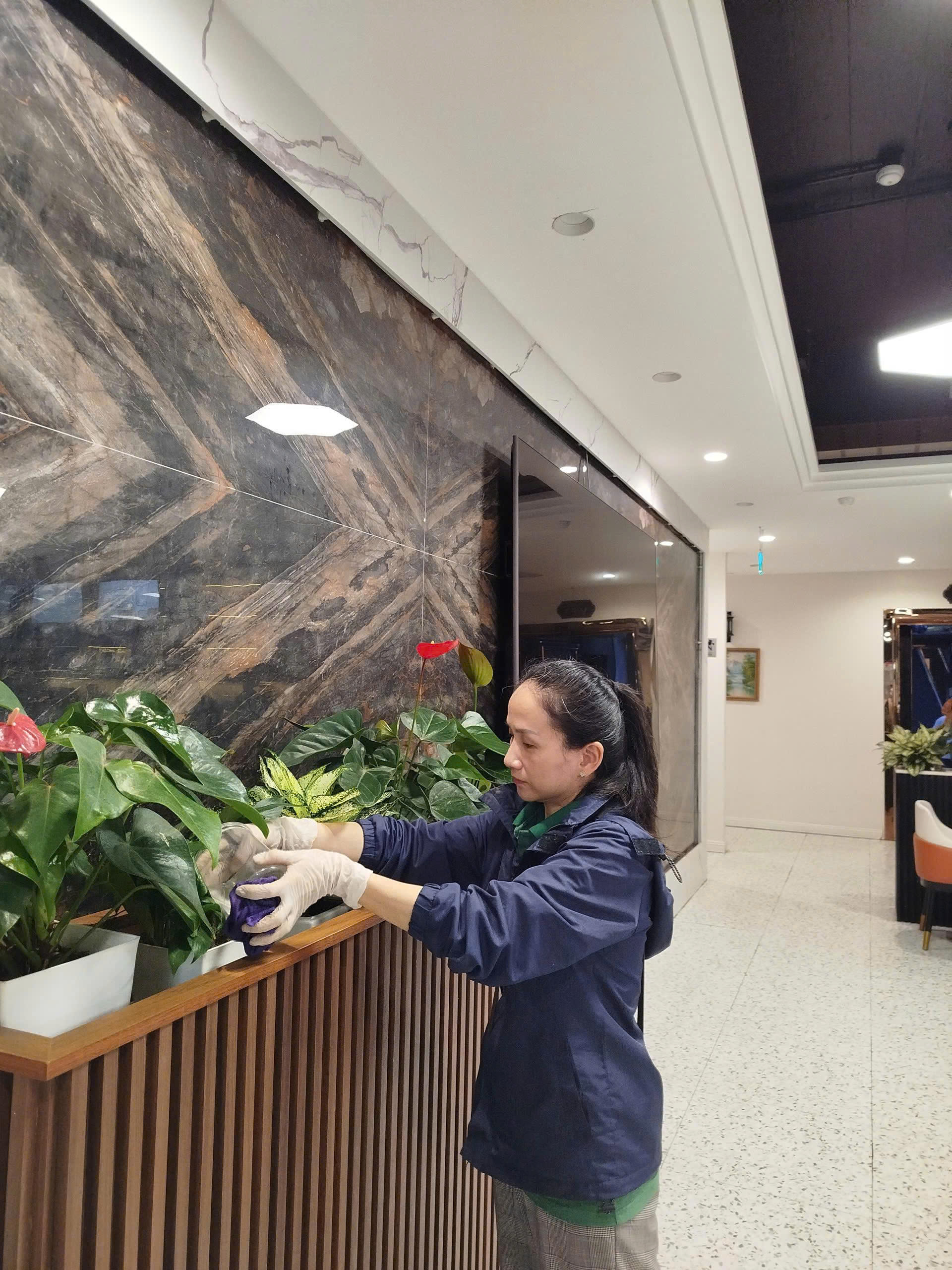 Nhân viên Vinatrees đến chăm sóc cây cảnh