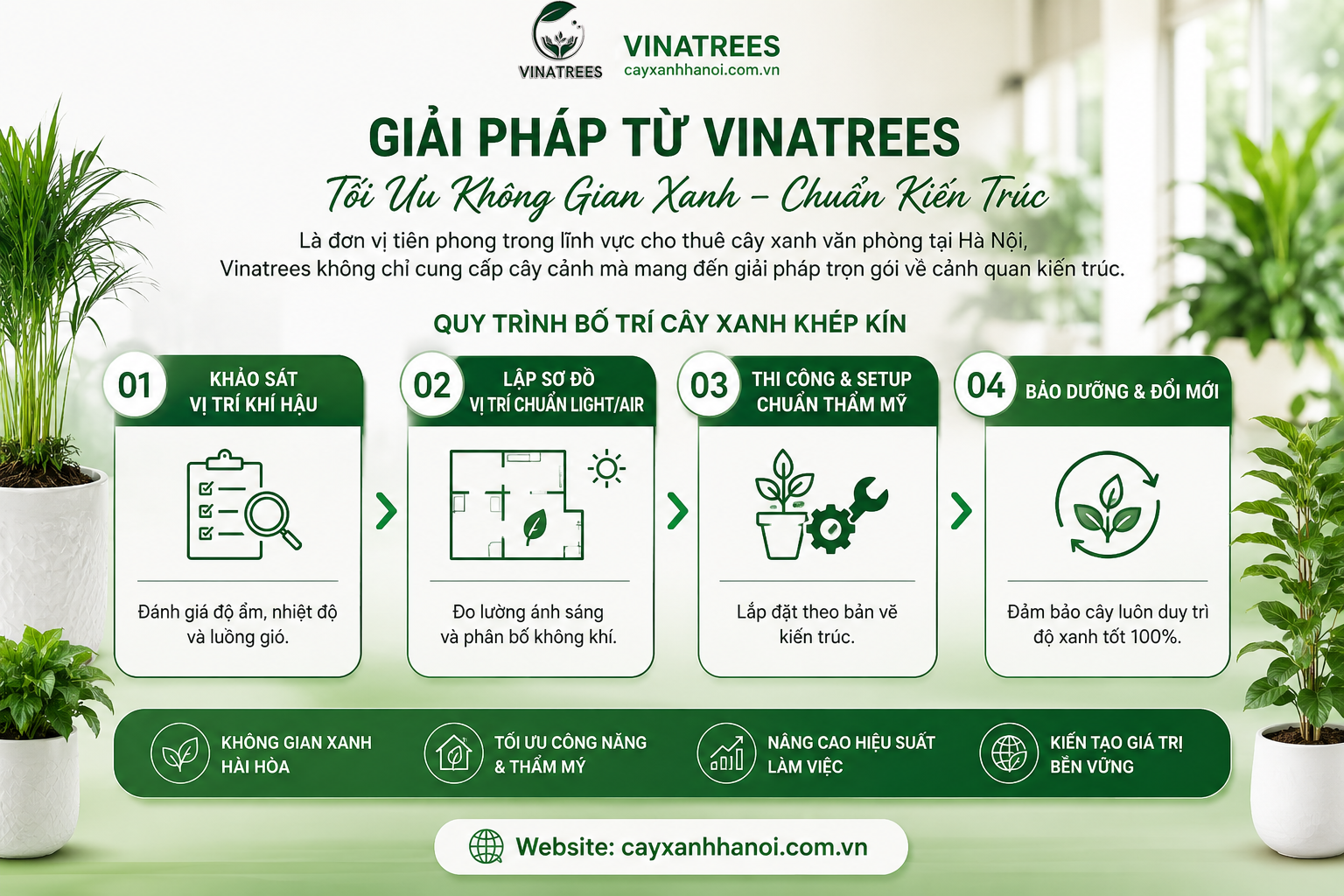 Quy trình bố trí cây xanh văn phòng khép kín từ công ty cây xanh Vinatrees