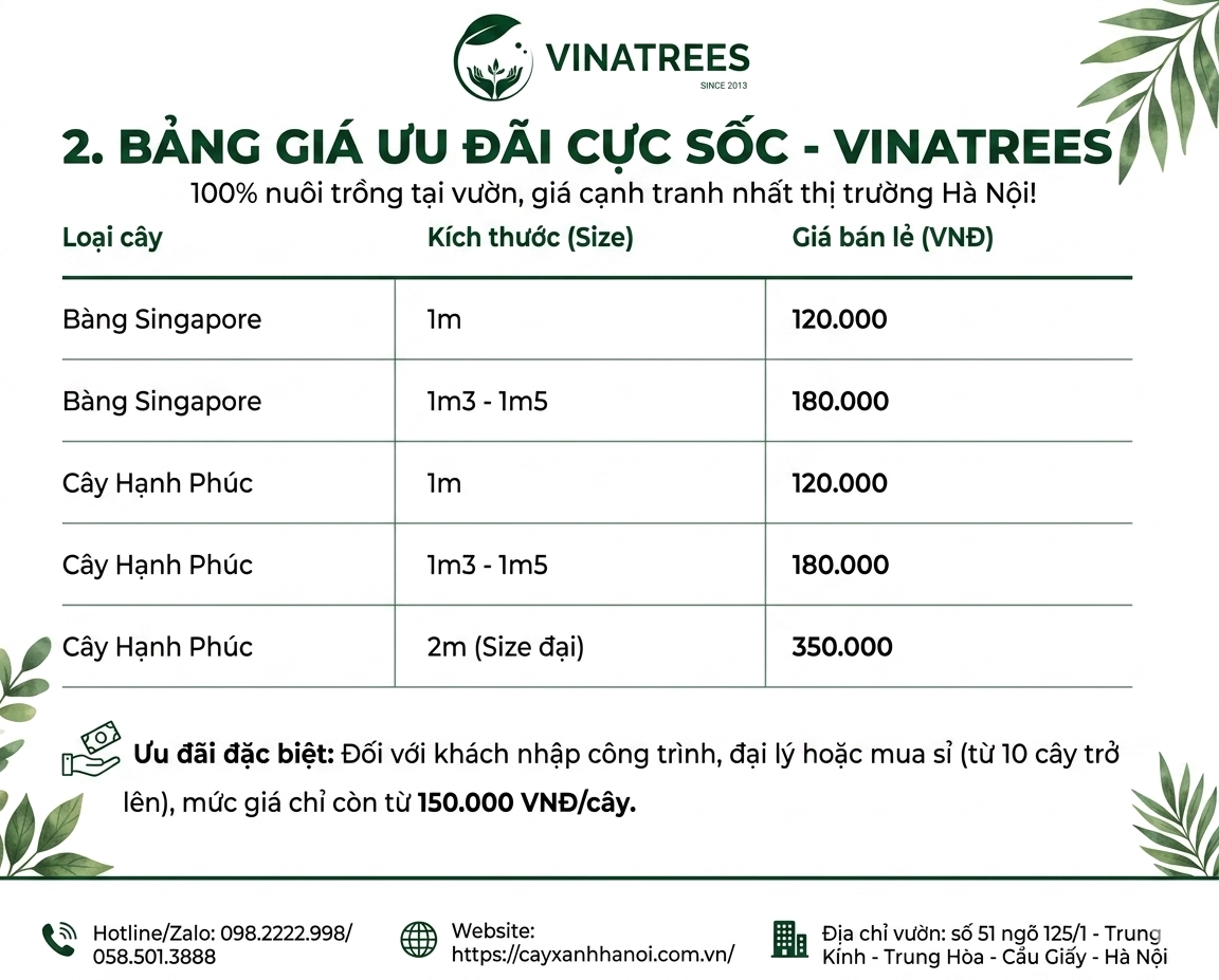 Bảng Gía Cây Bàng Và Cây Hạnh Phúc Tại Vườn Vinatrees