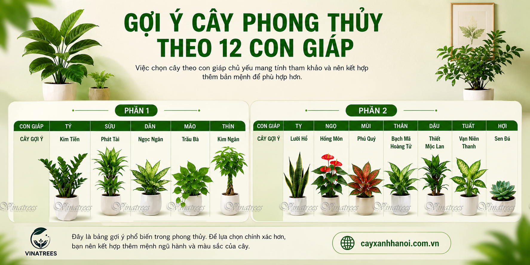 Gợi ý cây phong thủy theo 12 con giáp
