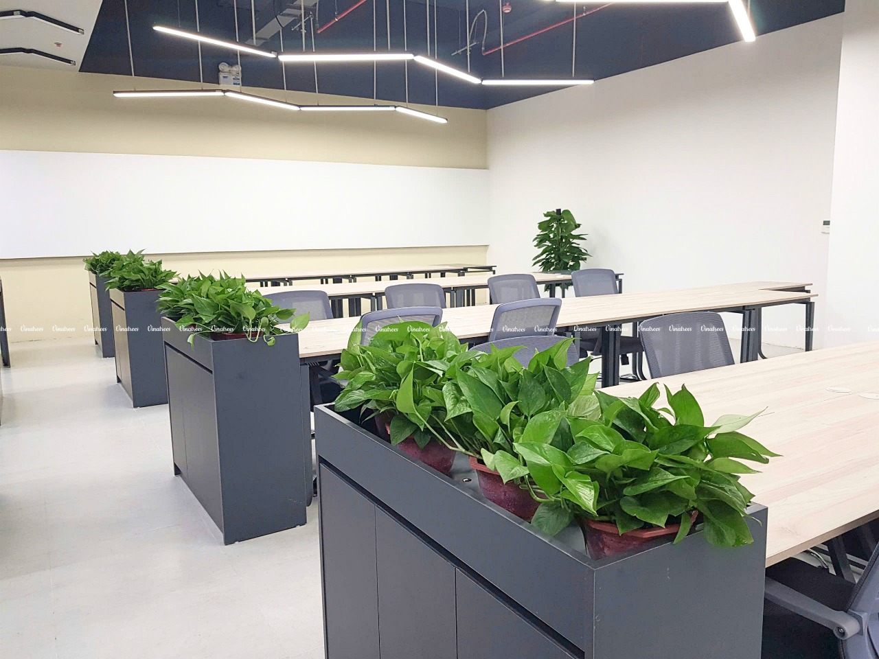 Vinatrees thiết kế cảnh quan xanh