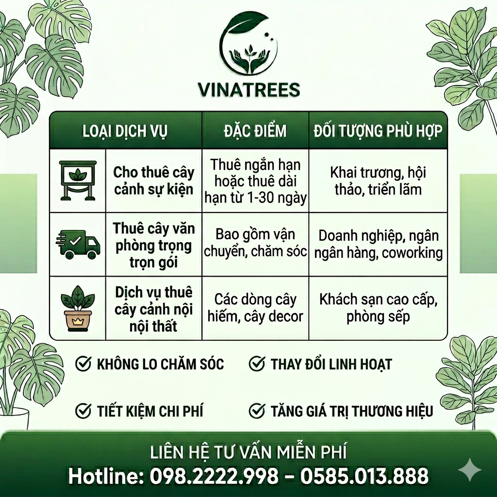 Báo giá dịch vụ cho thuê cây cảnh văn phòng _Vinatrees