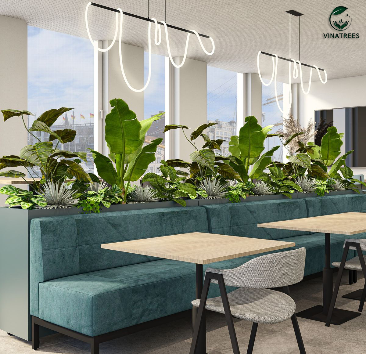 Dịch vụ cho thuê cây cảnh văn phòng_Vinatrees