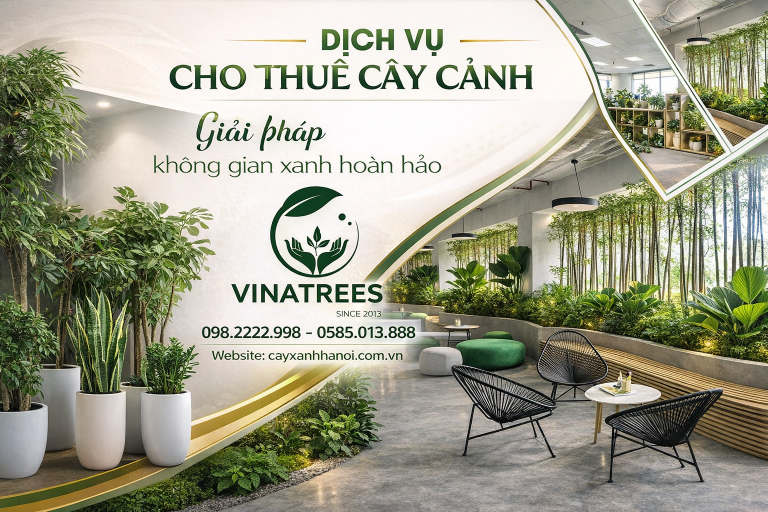 Cây Cảnh Nội Thất Đẹp – Xu Hướng Decor Hiện Nay