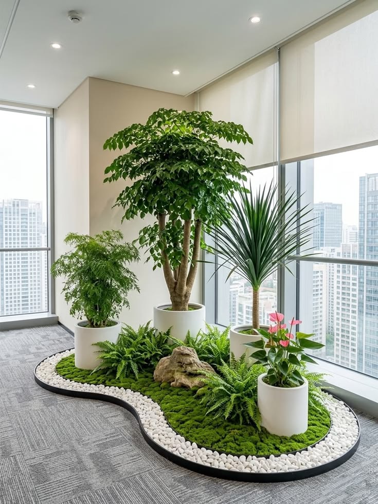 Dịch vụ cho thuê cây cảnh văn phòng tại Hà Nội _Vinatrees