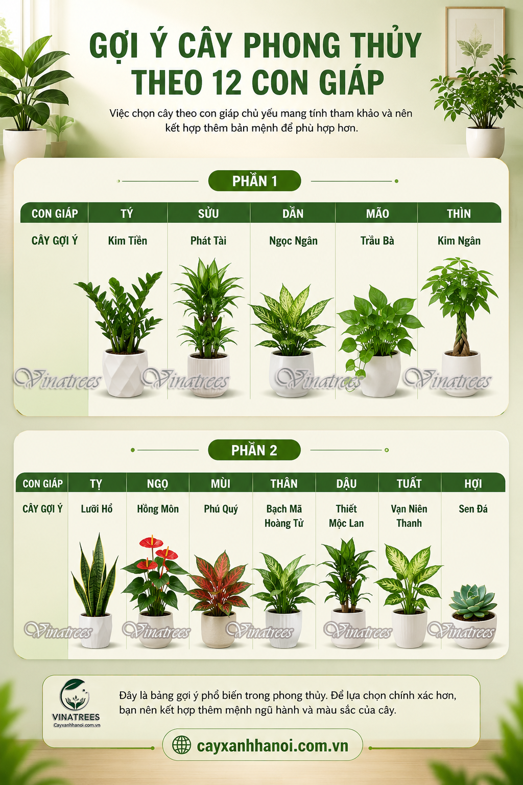 Gợi ý cây phong thủy theo 12 con giáp _Vinatrees