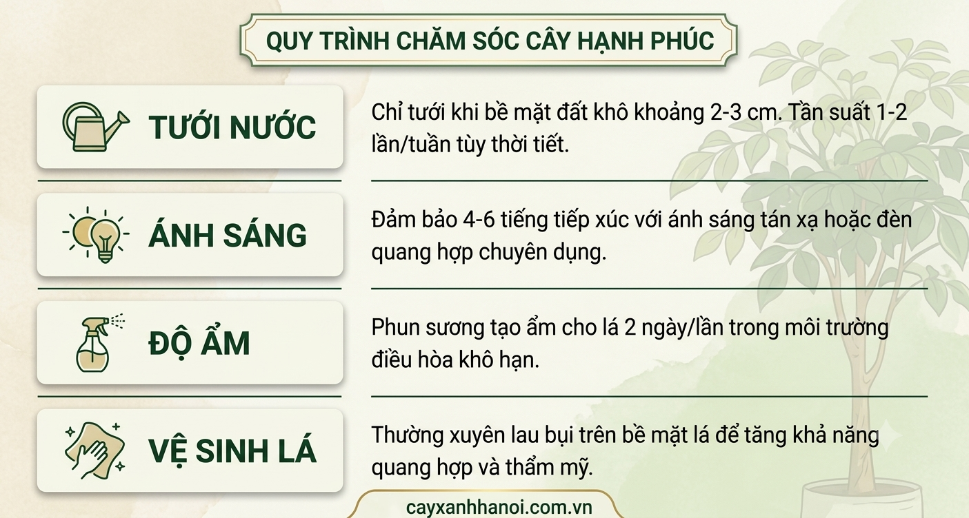 Quy trình chăm sóc cây hạnh phúc _Vinatrees
