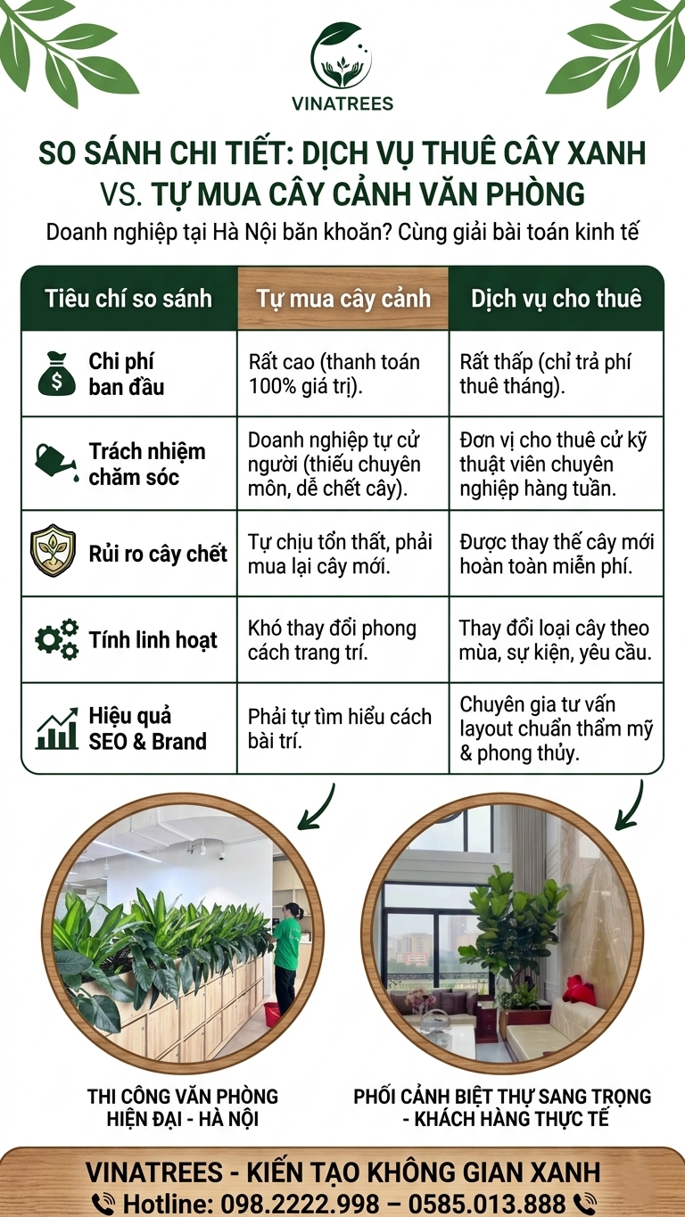 So sánh dịch vụ thuê cây cảnh và tự mua cây xanh văn phòng_ Vinatrees