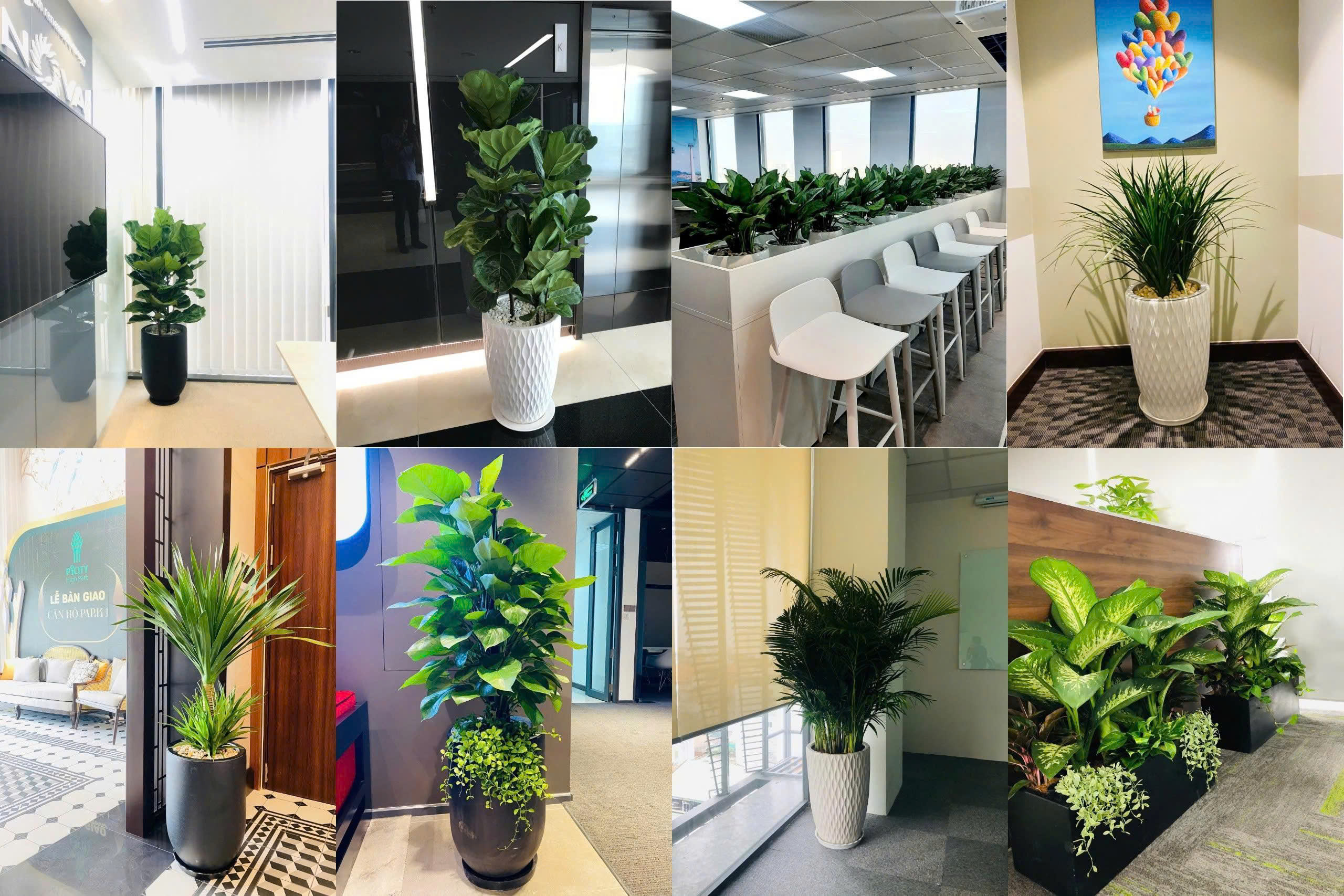 Không gian xanh giúp bạn thư giãn và làm việc hiệu quả hơn