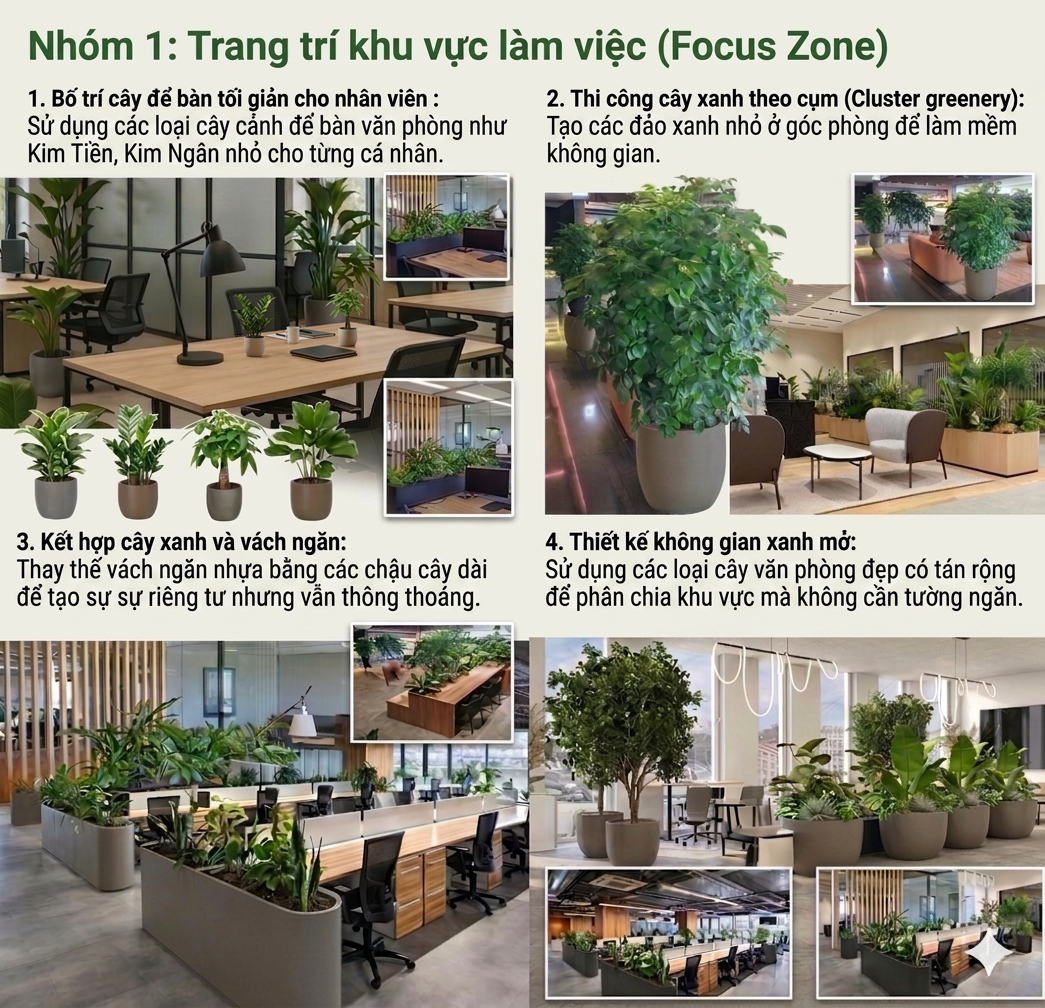 Trang trí cây cảnh văn phòng đẹp _Vinatrees