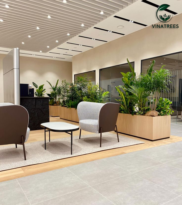 Vinatrees thiết kế không gian cho đơn vị thuê cây cảnh