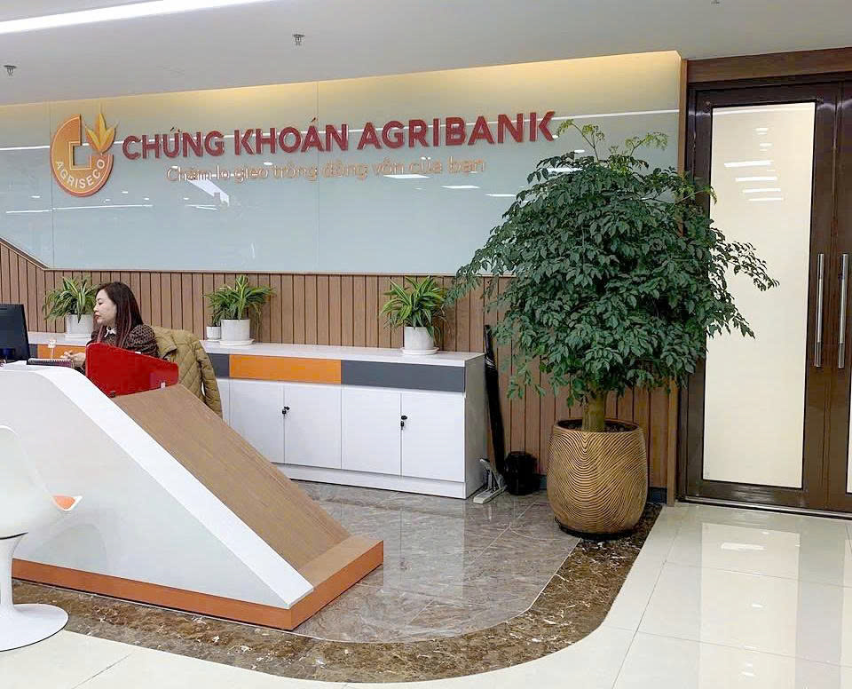 Cho thuê cây cảnh văn phòng tại Hà Nội _Vinatrees