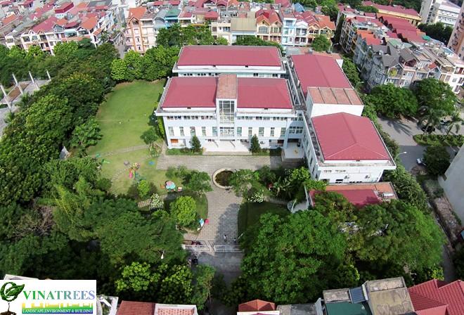 Trường mầm non rộng như công viên cây xanh ở Hà Nội