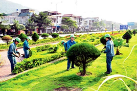 Dịch vụ duy tu, bảo trì, bảo dưỡng chăm sóc cây xanh cho sân vườn tại Hà Nội