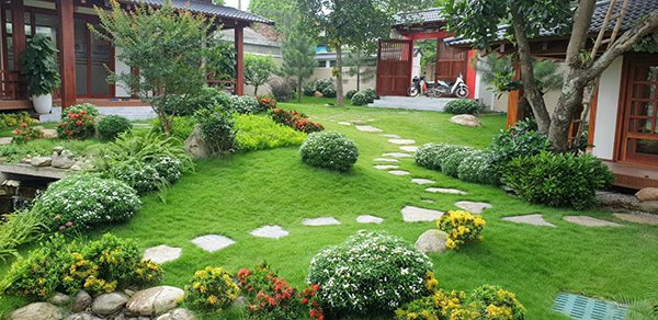 Top 4 Loại Cây Cảnh "Gia Bảo": Trồng Trong Sân, Tổ Tiên Hưởng Phước, Con Cháu Giàu Sang