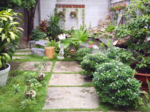 Nguyên Tắc Phối Kết Cây Xanh Cho Tiểu Cảnh Sân Vườn