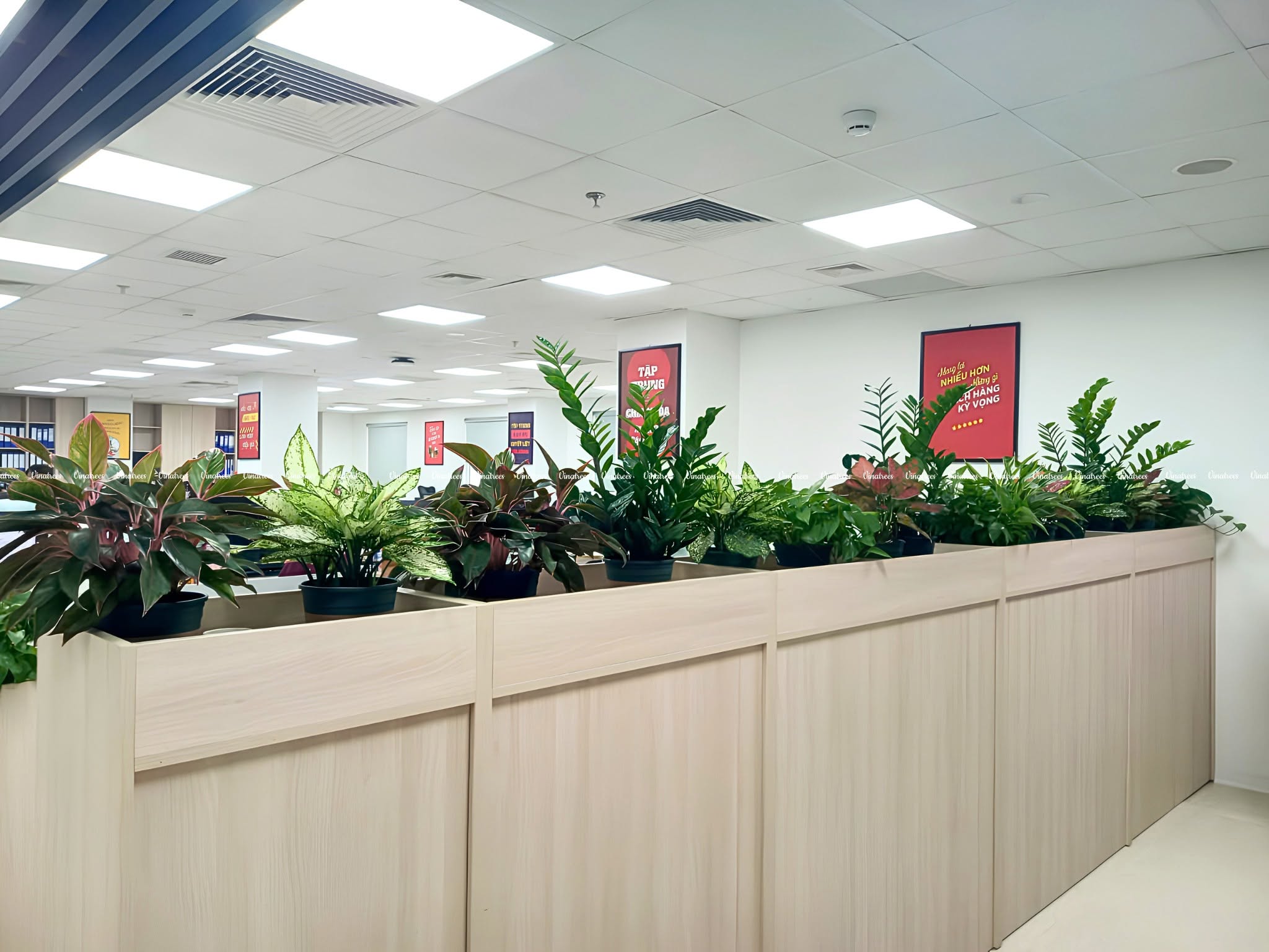 Tận dụng góc chết trong văn phòng để biến thành "ốc đảo xanh" cực hút mắt