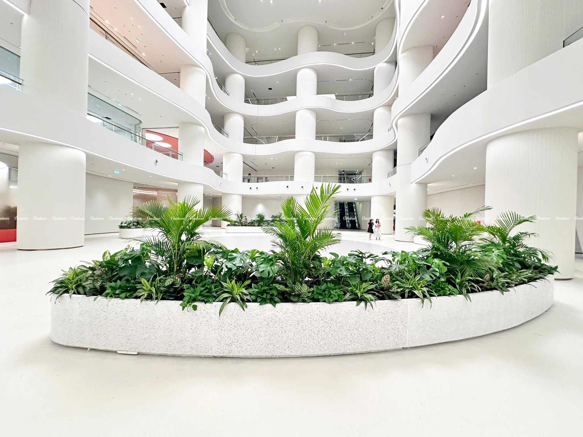 Nhật Ký Thi Công Cây Xanh Văn Phòng Tại ROX Tower Nguyễn Chí Thanh / Vinatrees