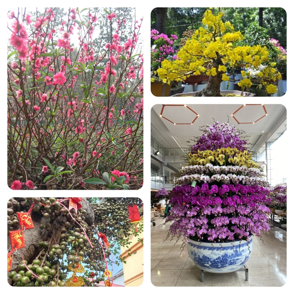 Bí Quyết Chăm Sóc Cây Cảnh Sau Tết: Cách Hồi Sinh Để Cây Luôn Tươi Xanh, Đón Lộc Cả Năm