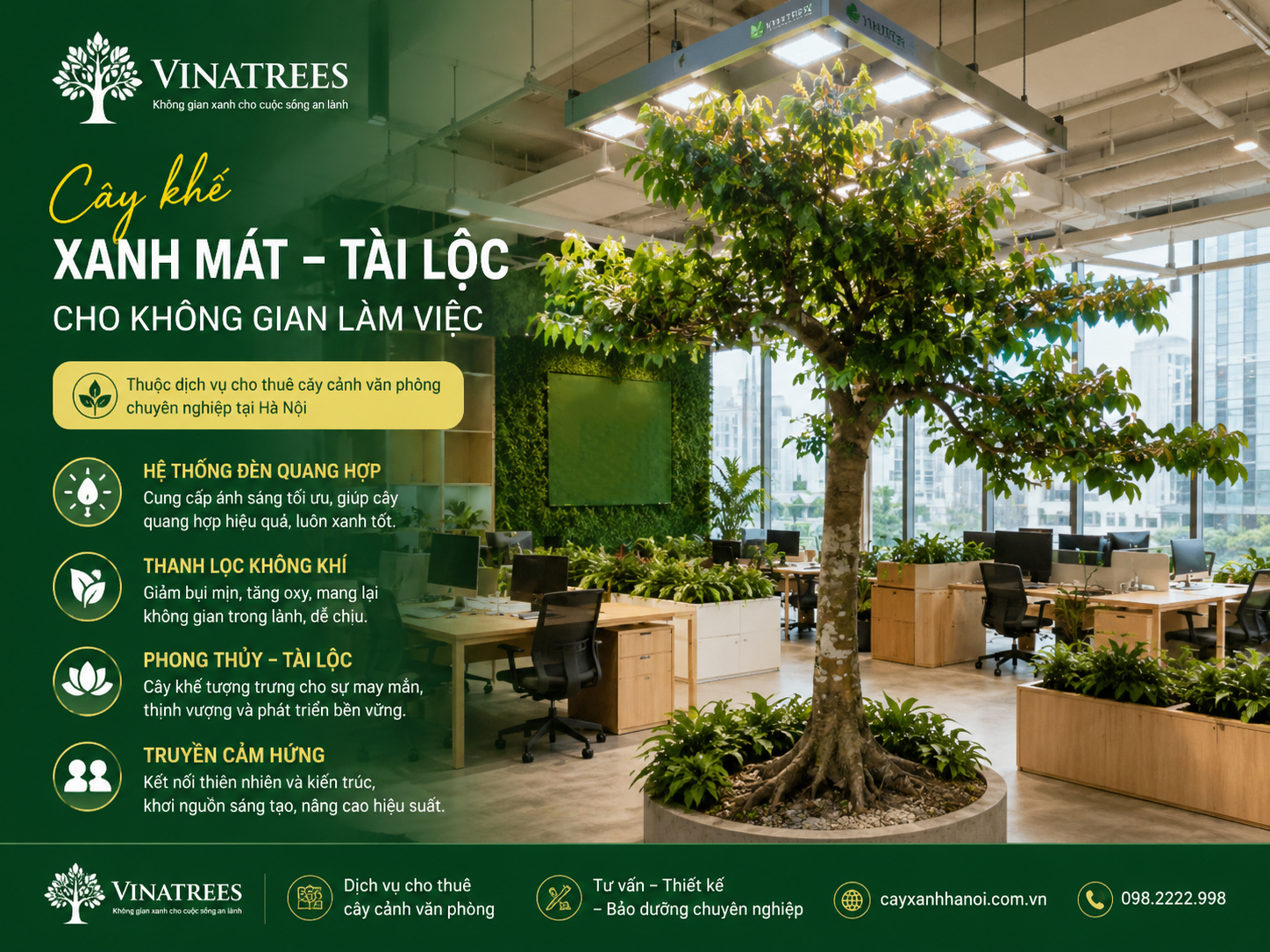 Cây Khế Phong Thủy: Giải Pháp Xanh Hóa Đẳng Cấp, Hút Tài Lộc Cho Không Gian Sống