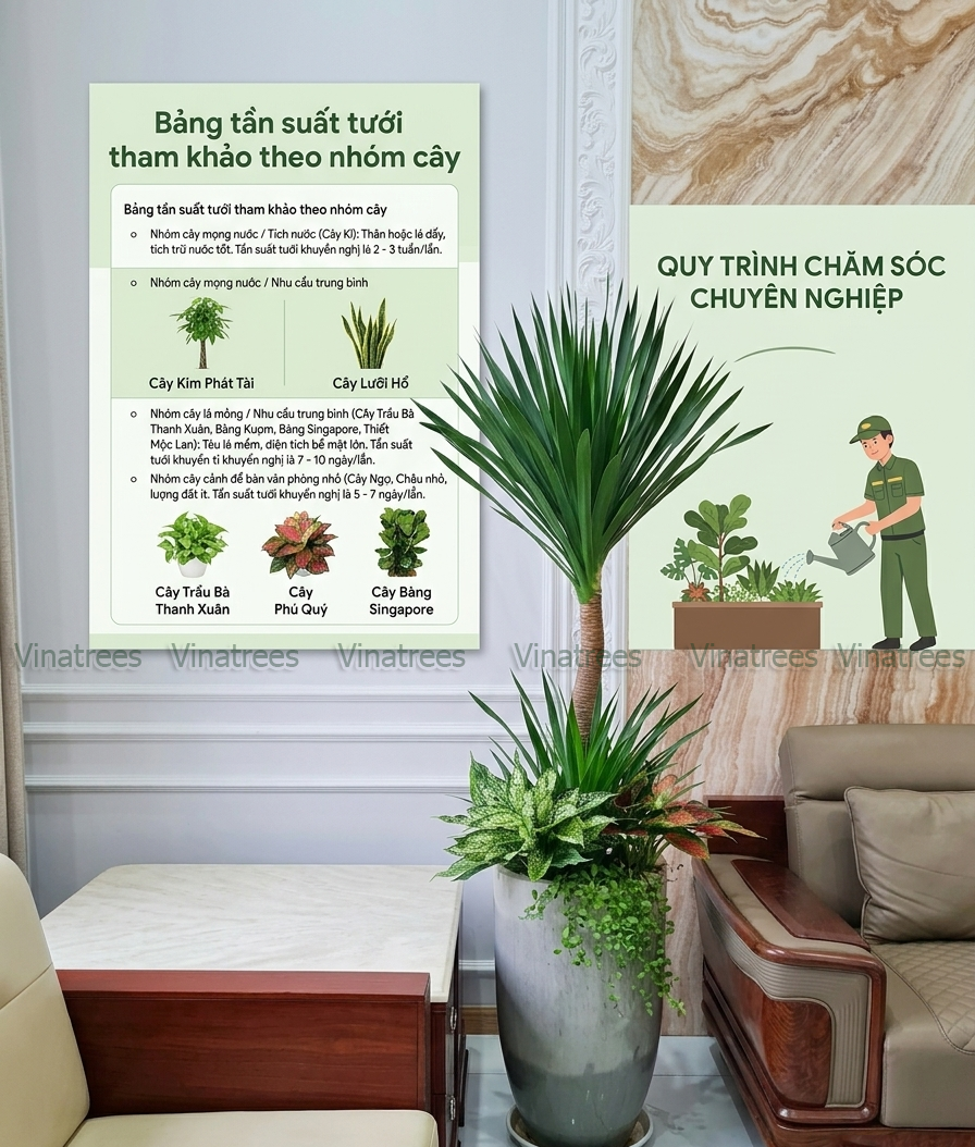 Tần Suất Tưới Nước Chuẩn Cho Cây Cảnh Thiếu Nắng: Bí Quyết Giữ Cây Xanh Tốt Trong Văn Phòng
