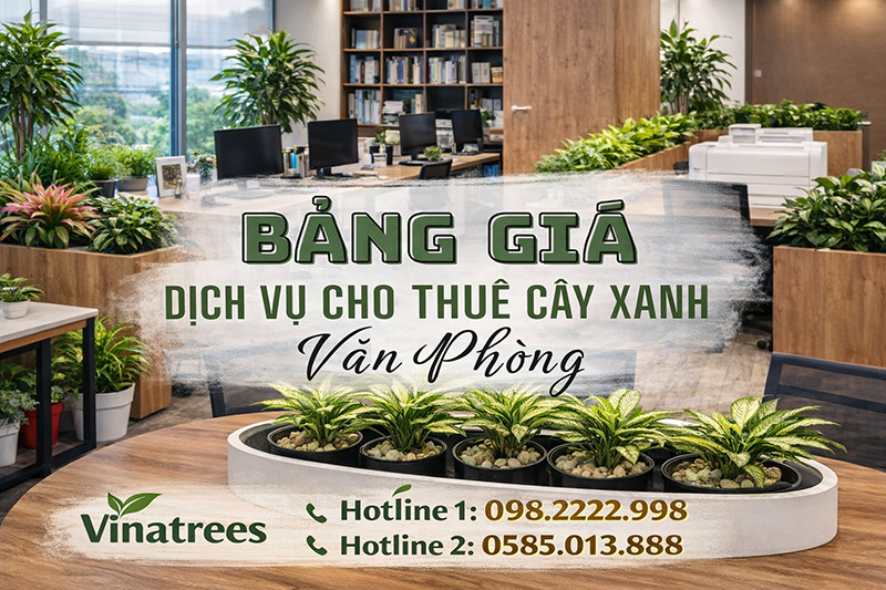 Giá Cho Thuê Cây Cảnh Văn Phòng Bao Nhiêu? Bảng Giá Mới Nhất 2026