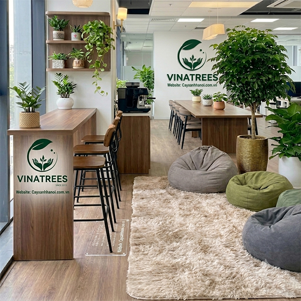 Thiết Kế Góc Chill Văn Phòng: Xu Hướng Giữ Chân Nhân Tài Thời Đại Mới