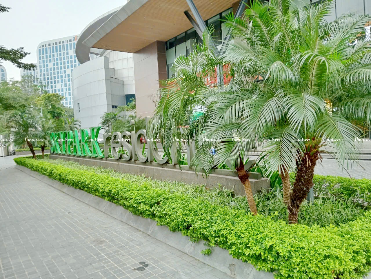 Công trình bảo trì cảnh quan cây xanh toà SKY PARK số 3 Tôn Thất Thuyết