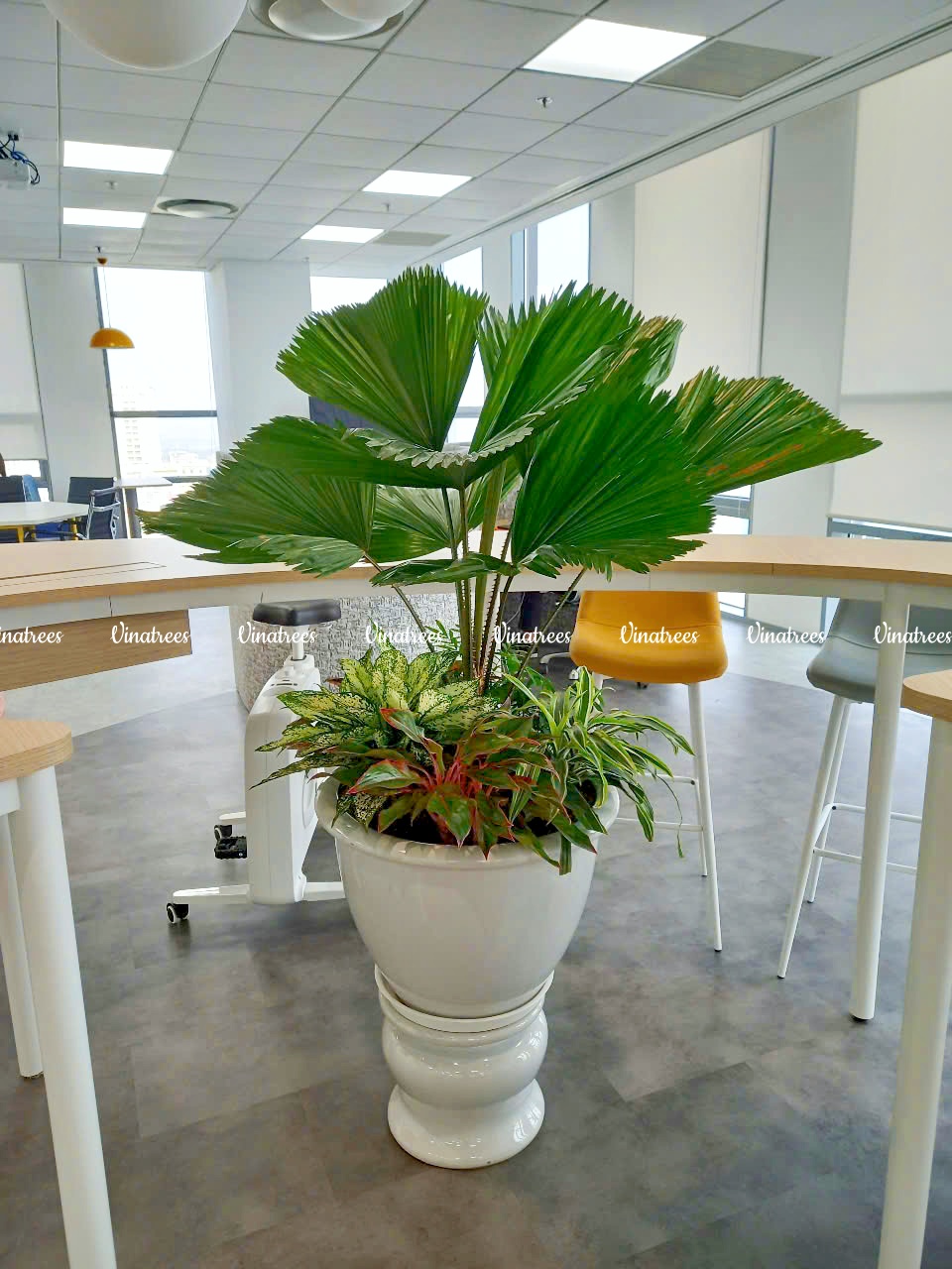Đối tác thuê cây xanh CÔNG TY PRUDENTIAL
