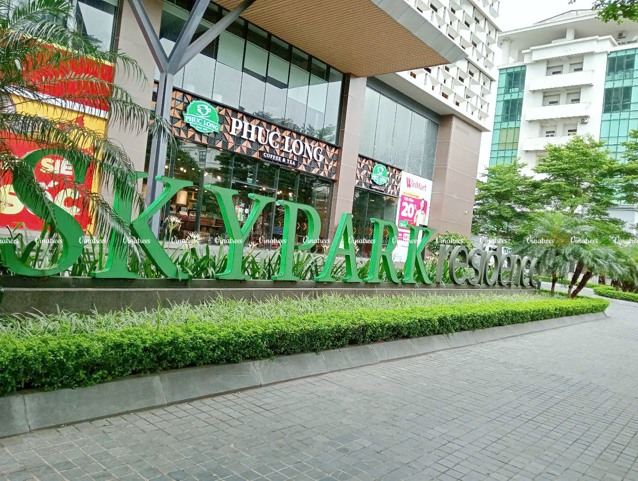Công trình bảo trì cảnh quan cây xanh toà SKY PARK số 3 Tôn Thất Thuyết