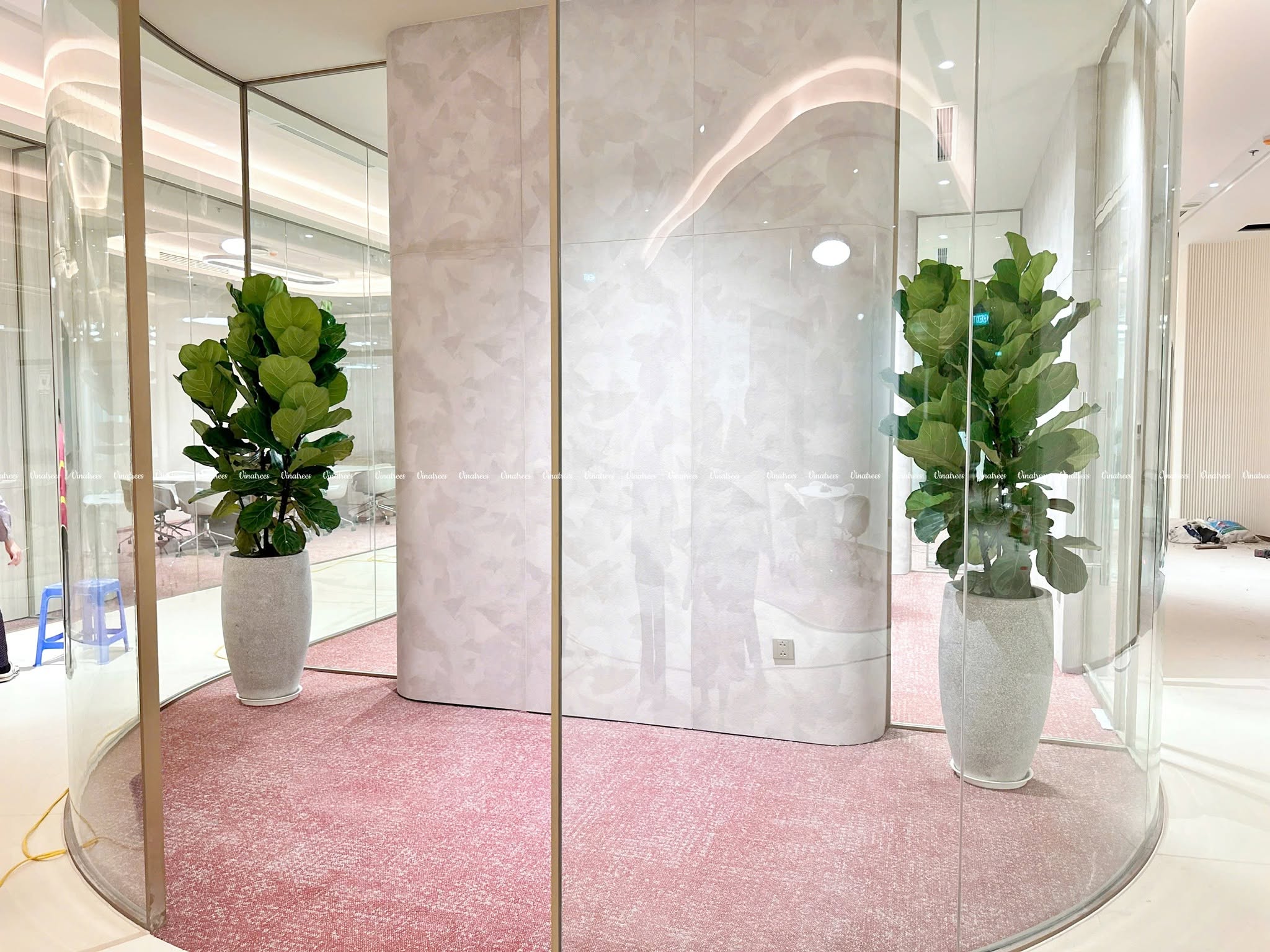 https://cayxanhhanoi.com.vn/761964442_1486519543496406_1903049268032199157_n