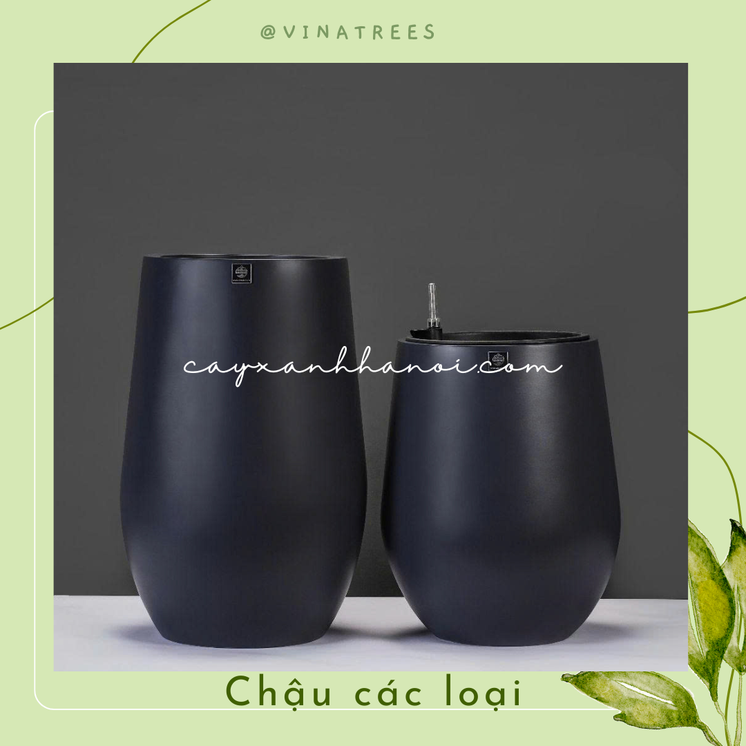Chậu composite 12