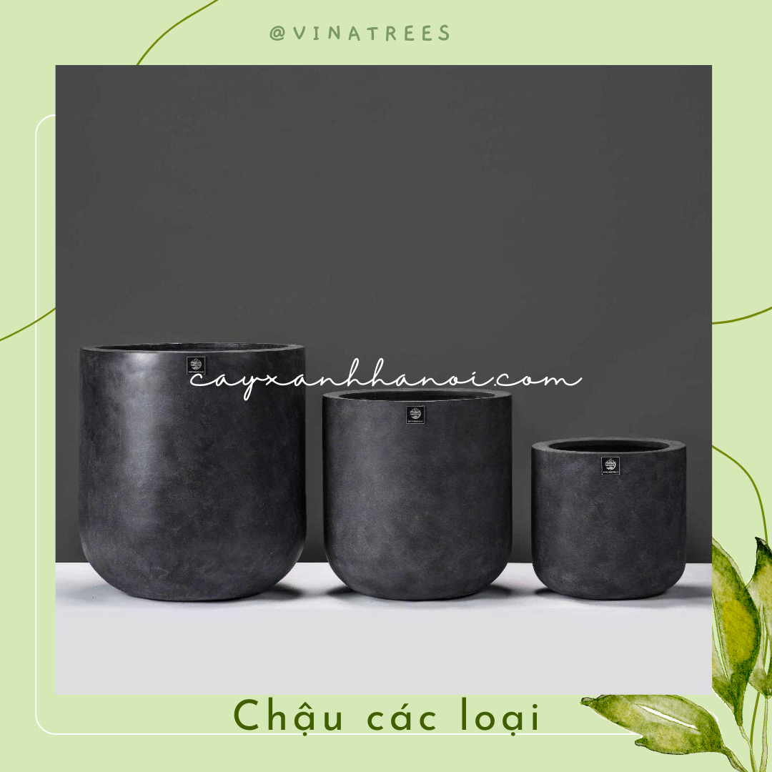 Chậu composite 15